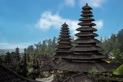 白天蓝天下的棕色和黑色寺庙